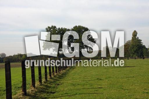 Herbststimmung-10-09 053.jpg